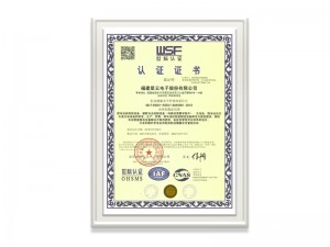 福建星云电子股份有限公司ISO45001证书（中文）