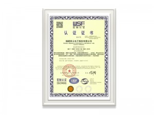 福建星云电子股份有限公司ISO9001证书（中文）